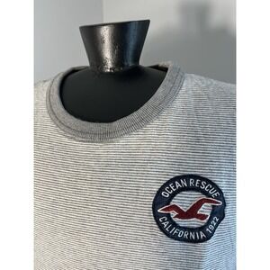 Hollister Gry/Wht‎ Striped T-Shirt Mens Large Patch Surfwear Logo SoCal Style